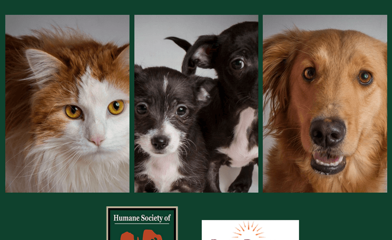 HUMANE SOCIETY OF SEDONA AND POCO DIABLO RESORT TEAM UP TO MAKE A DIFFERENCE FOR SHELTER PETS HUMANE SOCIETY OF SEDONA AND POCO DIABLO RESORT TEAM UP TO MAKE A DIFFERENCE FOR SHELTER PETS