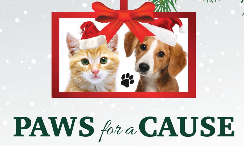 Stewart Title Holiday Drive a huge success!! Stewart Title Holiday Drive a huge success!!